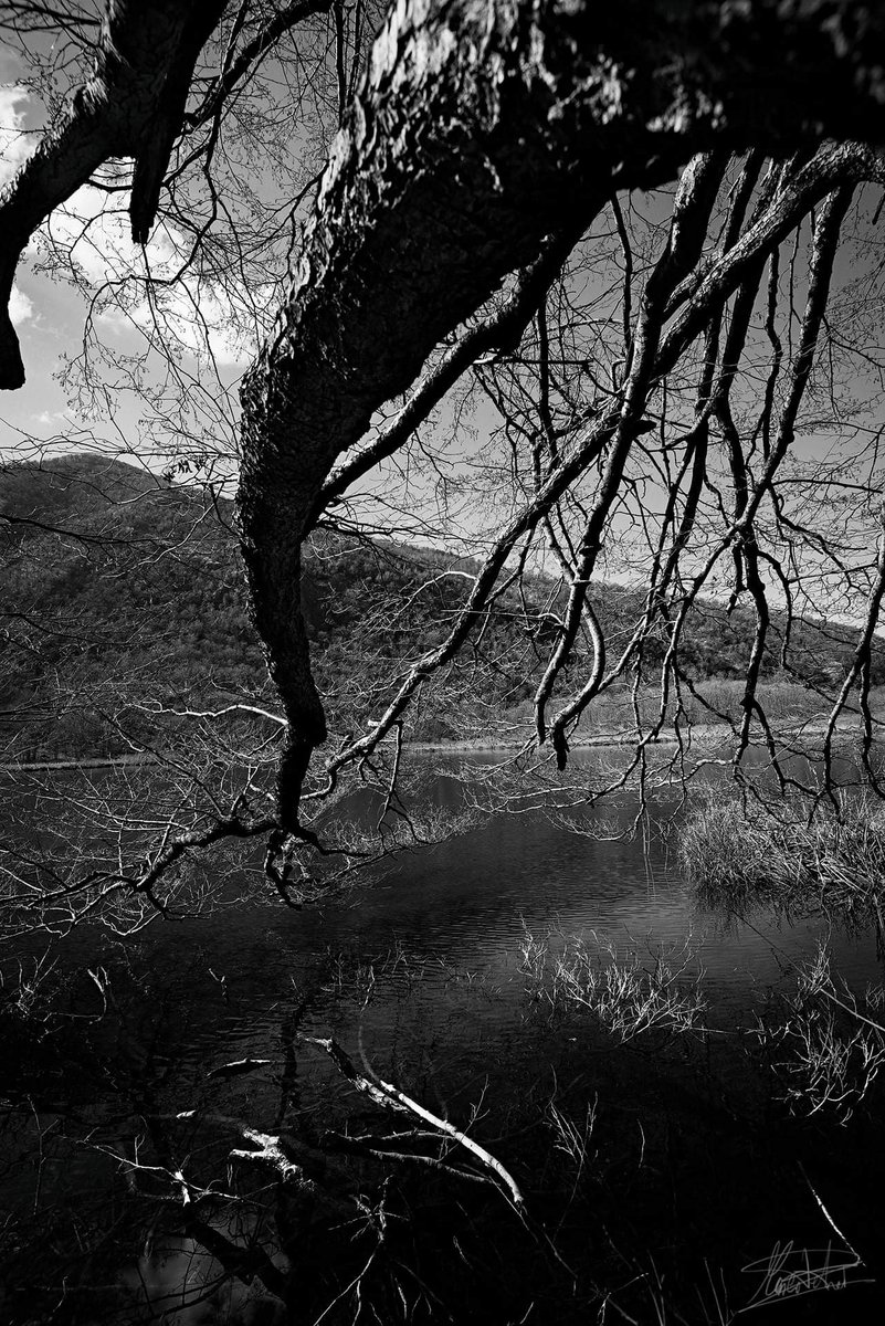 MarcoPetroi's tweet photo. Lago di Ganna - Valganna - February 2022
Copyright © Marco Petroi Photography
website: https://t.co/fpB1k1PDk6
.
.
.
.
.
#Valganna #lake #fineart #landscape #monochrome #dark #nature #outdoor https://t.co/PXt9KYX4er