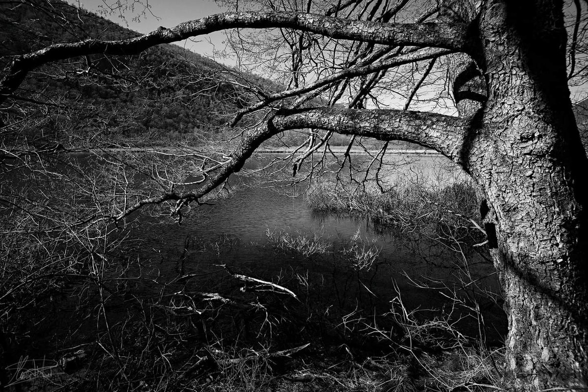 MarcoPetroi's tweet photo. Lago di Ganna - Valganna - February 2022
Copyright © Marco Petroi Photography
website: https://t.co/fpB1k1PDk6
.
.
.
.
.
#Valganna #lake #fineart #landscape #monochrome #dark #nature #outdoor https://t.co/PXt9KYX4er