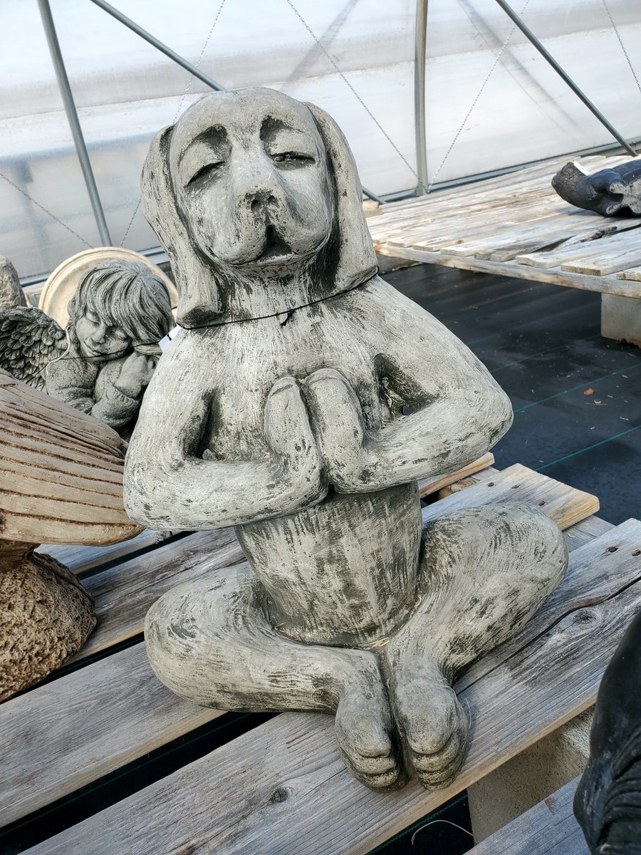 bloomingardener's tweet photo. We've started unpacking the statuary. We got in so many great pieces!!
#thebloomingardener #statuary #gardendecor #newitems #spring2024 #localgreenhouse #yqgbusiness #gardenaccessories #YQG #newarrivals #Campania https://t.co/lh7fb8mtwP