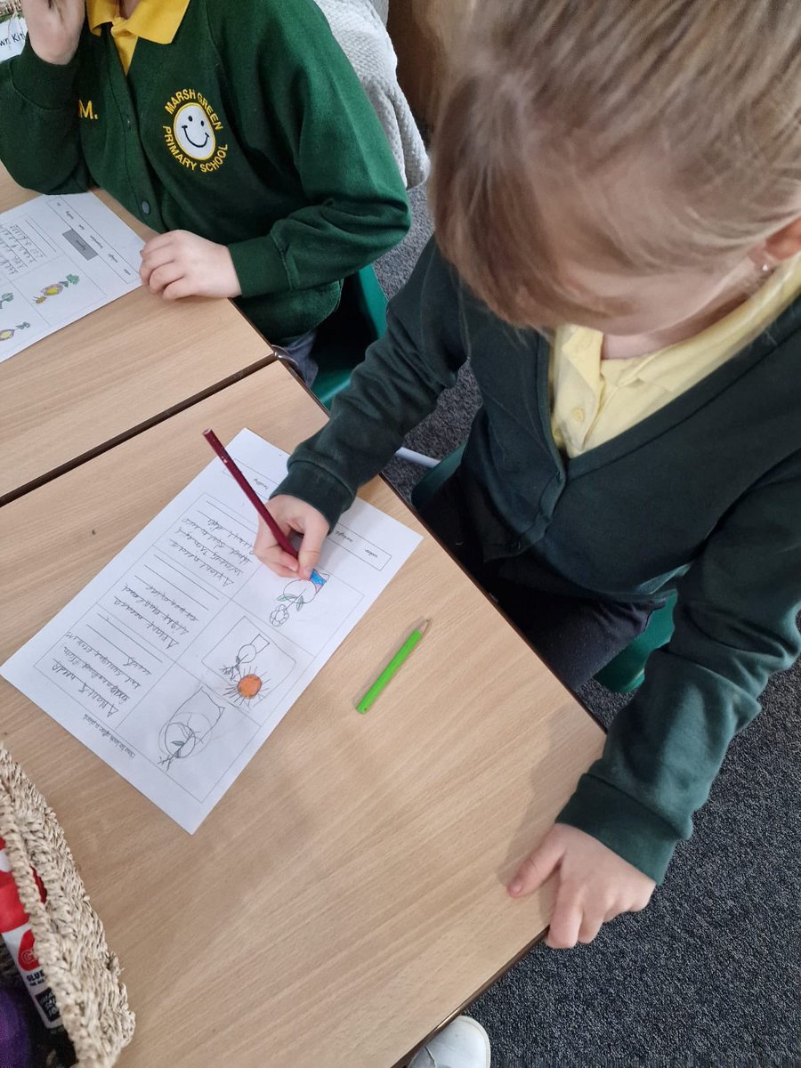 Year2OMG's tweet photo. Today we explored what plants need in order to grow! We created some fact sheets about our findings! https://t.co/acJi6KNlHV