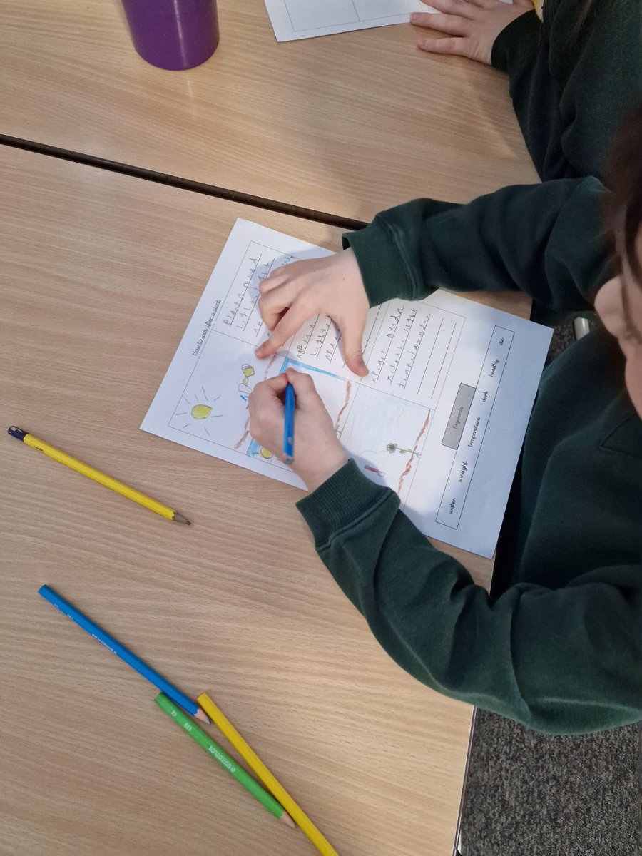 Year2OMG's tweet photo. Today we explored what plants need in order to grow! We created some fact sheets about our findings! https://t.co/acJi6KNlHV