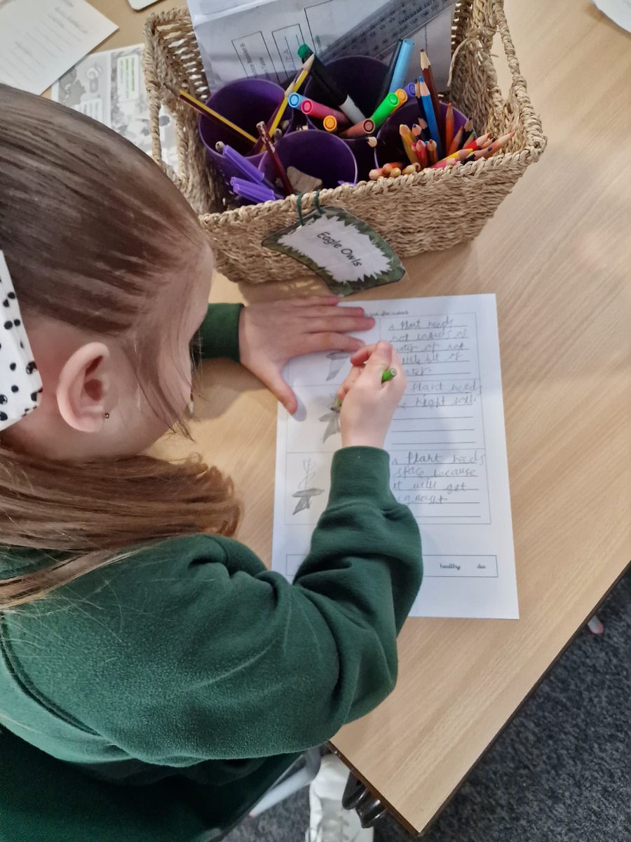Year2OMG's tweet photo. Today we explored what plants need in order to grow! We created some fact sheets about our findings! https://t.co/acJi6KNlHV