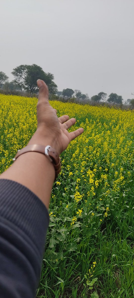 RajputJulee's tweet photo. शिक्षा
कर रही है
मेरी गलत धारणाओं पर
लगातार वार

टूट रहे हैं भरम
खुल रही है दुनिया
आजाद हो रहे हैं विचार

शिक्षा
जो कर रही
मुझे बेहतर से
बेहतरीन....
#स्वरजूली #swarjulee 
@Kitabganj1 https://t.co/C7JGpn9nIK