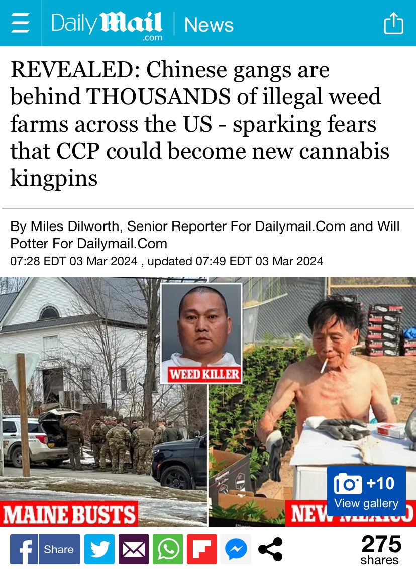 @ScottPresler @chamath @elonmusk @libsoftiktok We knew that China was a direct contributor to fentanyl drug trafficking across the United States Now we know China is responsible for multiple Marijuana farms across USA Thanks Joe Biden for making things worse for the United States