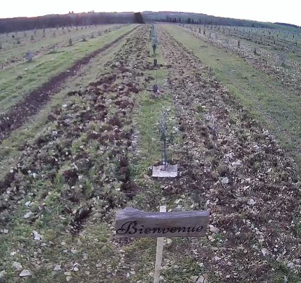 Grâce à <a href="/visiometeo/">Vision-Environnement</a> nos copropriétaires peuvent désormais accéder à des caméras en direct de nos parcelles.

La truffe noire bio 2.0 avance, et c’est dans le <a href="/BerryProvince/">Berry Province</a> !

Pour accéder à une 🎥 :
visionenvironnement.quanteec.com/embeded/embede…