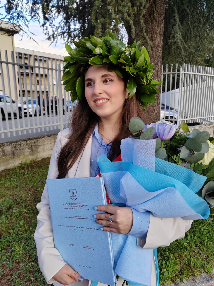 Giuliabuilds 🏡🌻 tweet media