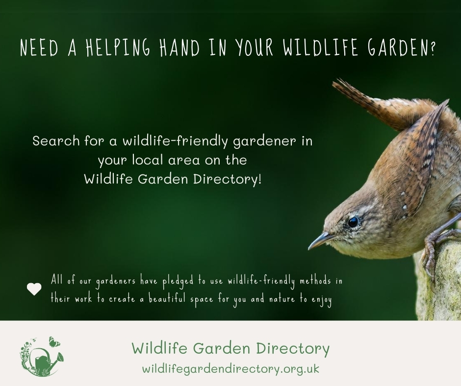 So if you need a helping hand in your garden, or if you’d like to register your wildlife-friendly business, take a look at our shiny new website today! wildlifegardendirectory.org.uk Please share far and wide! 💚 #wildlifegardener #gardening #websitelaunch
