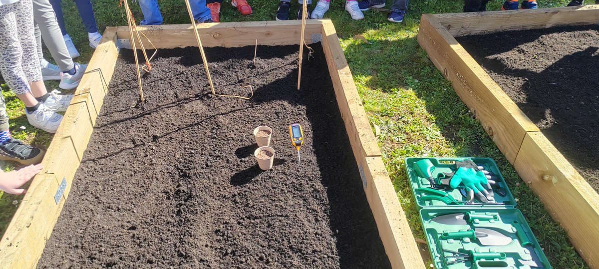 Spaceastur tweet media