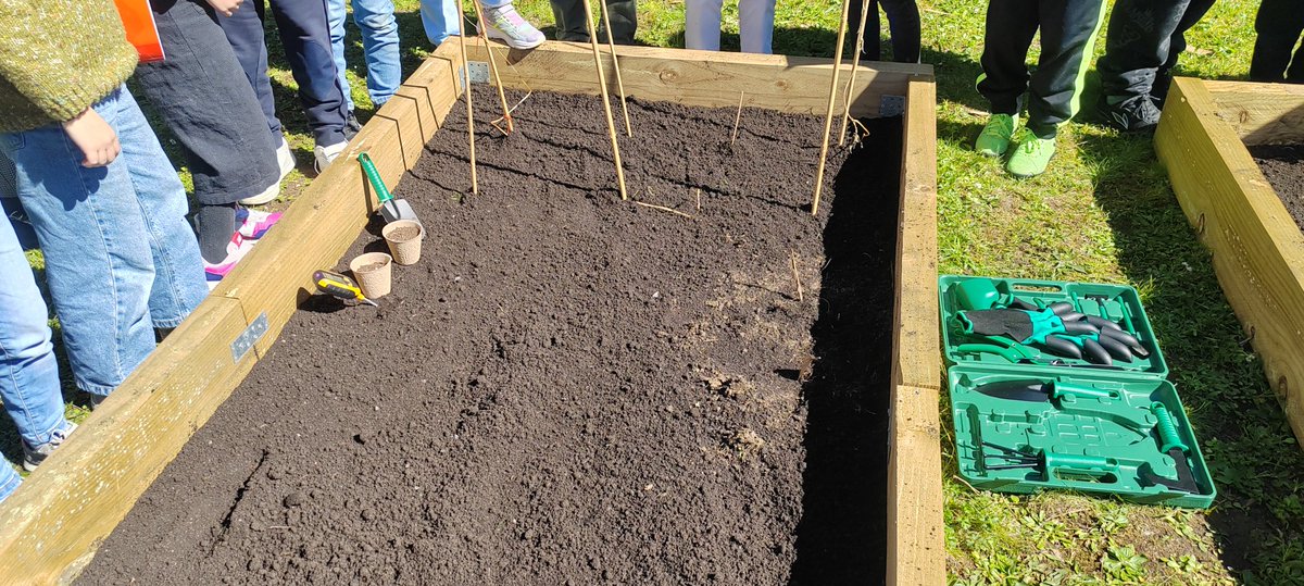 Spaceastur tweet media