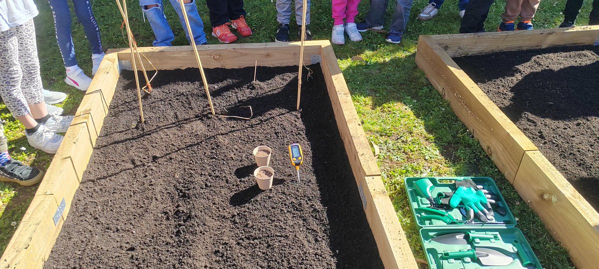 Spaceastur tweet media