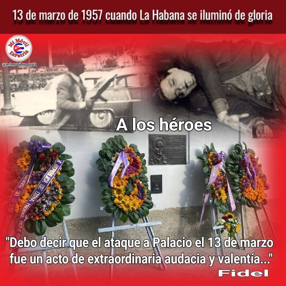 Mayra Arevich Marín 🇨🇺 tweet media