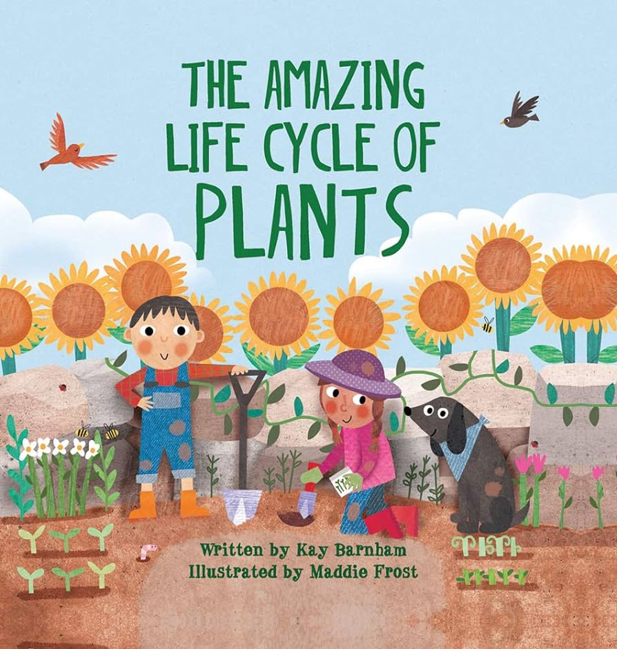 Year2OMG's tweet photo. In English we are exploring the amazing life cycle of plants! This links to Science week and we will be writing an explanation text all about the life cycle of a plant! 🌱 https://t.co/h0njlFfnne