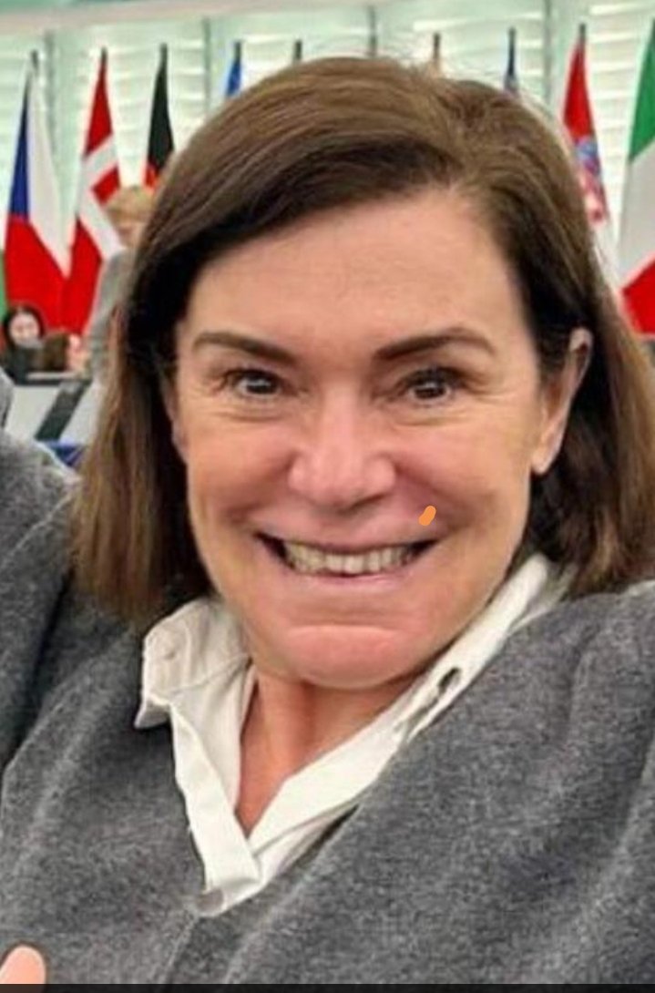 Avete visto la faccia felice, euforica, di quella deputata europea del #Pd, #Gualmini che vi ride in faccia perché sono passate le norme folli e vessatorie sulla #CasaGreen?
ECCO RICORDATEVI BENE QUESTO SORRISO QUANDO ANDRETE A VOTATE.
SONO NEMICI.