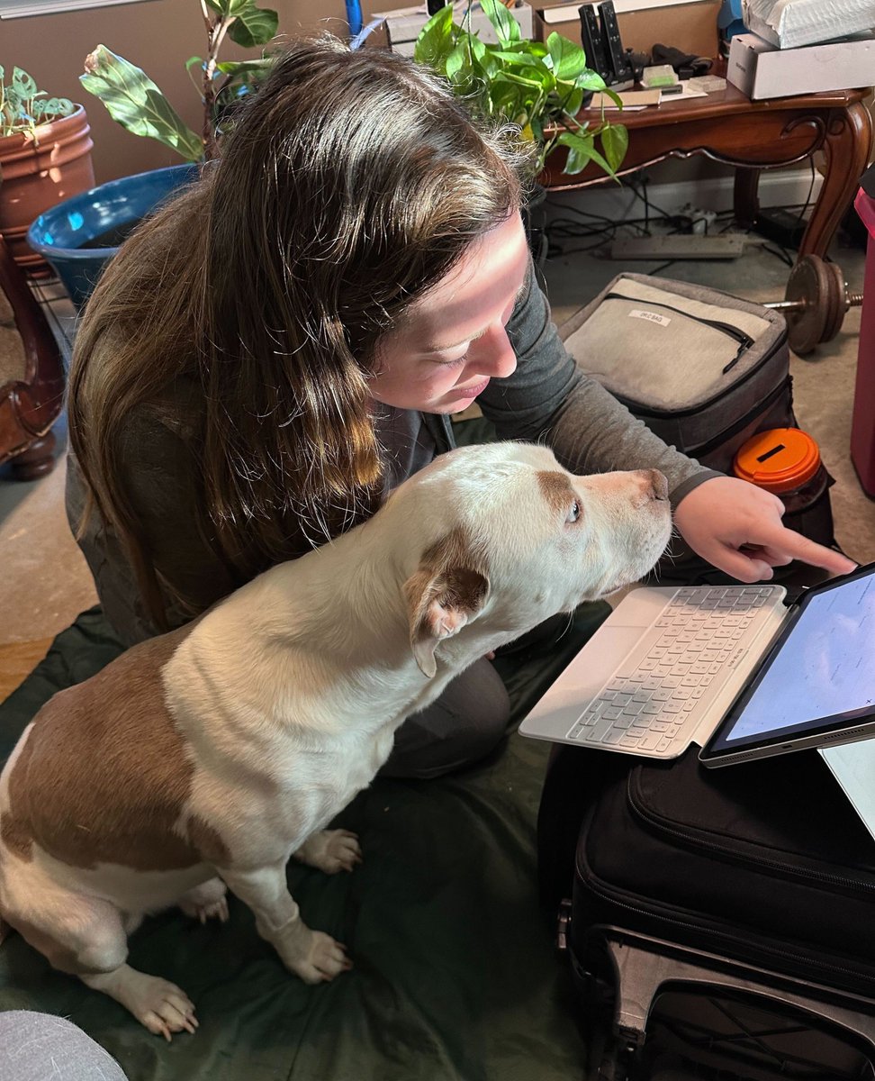 Draco 🐶 said to make sure it's clearly written that he needs more treats... doctor's orders.