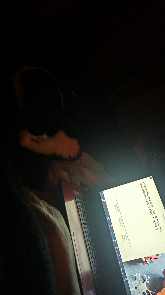 Zoom revision for next weeks pathophysiology exam. It's reasuring that I know more than I thought.  Hopefully it sticks 🤞 #Nrs501 #puncpet