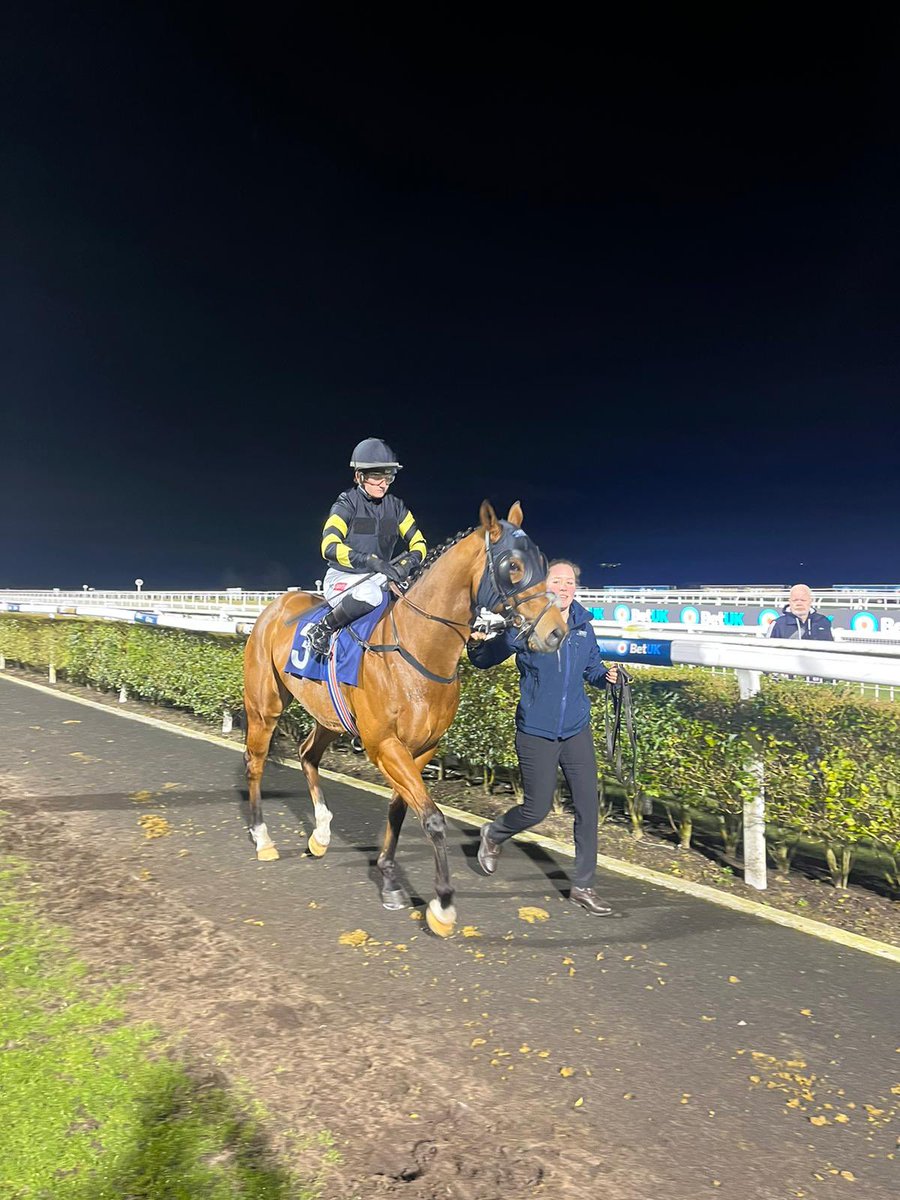 HolmfirthRacing's tweet photo. Golden rainbow is hitting some good form and ran a close 2nd for us at @NewcastleRaces yesterday 🥈 thanks to @HollieDoyle1 for giving him great ride https://t.co/Reg1ZIyvlA