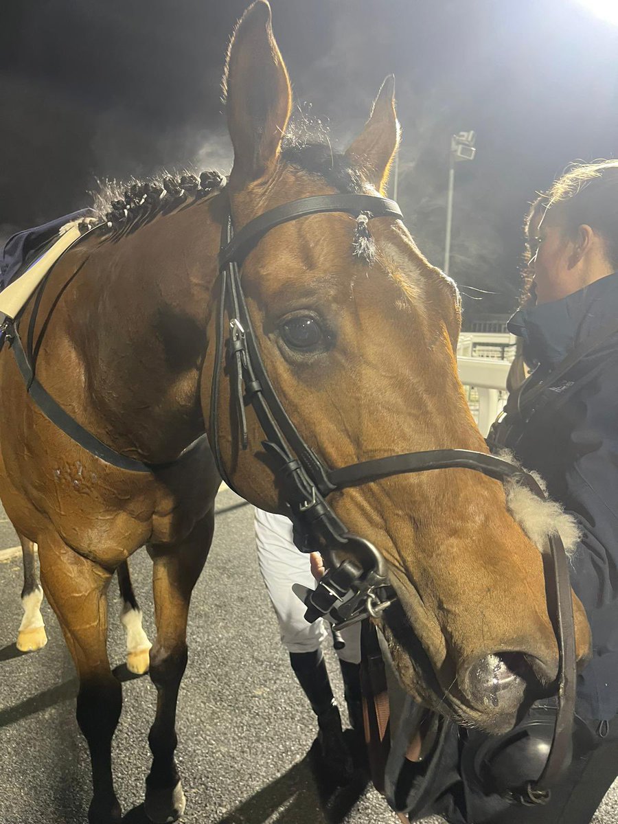 Golden rainbow is hitting some good form and ran a close 2nd for us at <a href="/NewcastleRaces/">Newcastle Racecourse</a> yesterday 🥈 thanks to <a href="/HollieDoyle1/">Hollie Doyle</a> for giving him great ride