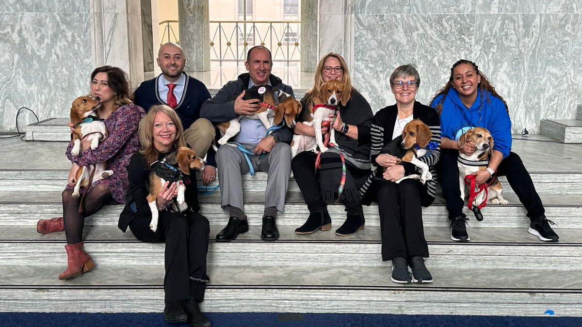CrueltyFreeIntl's tweet photo. We were delighted with the success of our first-ever Cruelty Free Science Day in Washington DC, in conjunction with @RepChrisPappas, in sharing three humane science bills with U.S. Representatives and their staff.
Read more: https://t.co/7Uzh6lPiOa
#EndAnimalTesting https://t.co/0rq7C0Cm5d