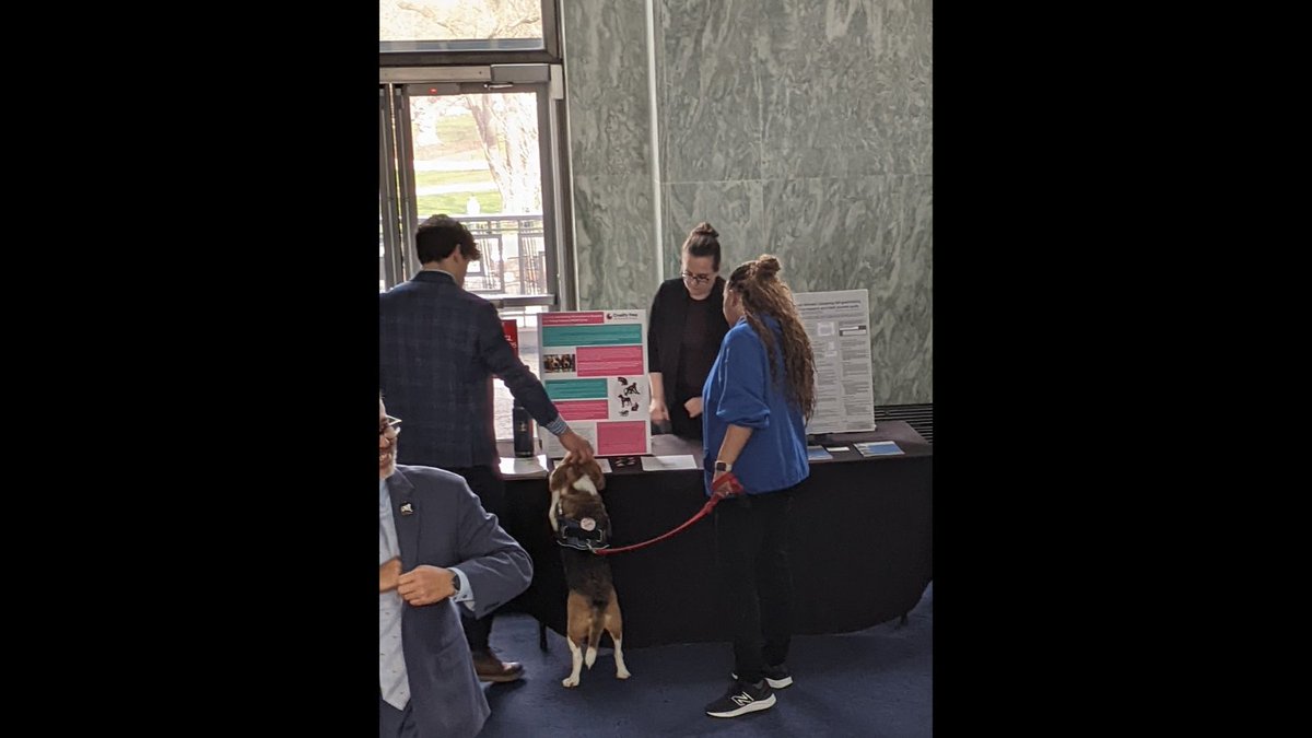 CrueltyFreeIntl's tweet photo. We were delighted with the success of our first-ever Cruelty Free Science Day in Washington DC, in conjunction with @RepChrisPappas, in sharing three humane science bills with U.S. Representatives and their staff.
Read more: https://t.co/7Uzh6lPiOa
#EndAnimalTesting https://t.co/0rq7C0Cm5d