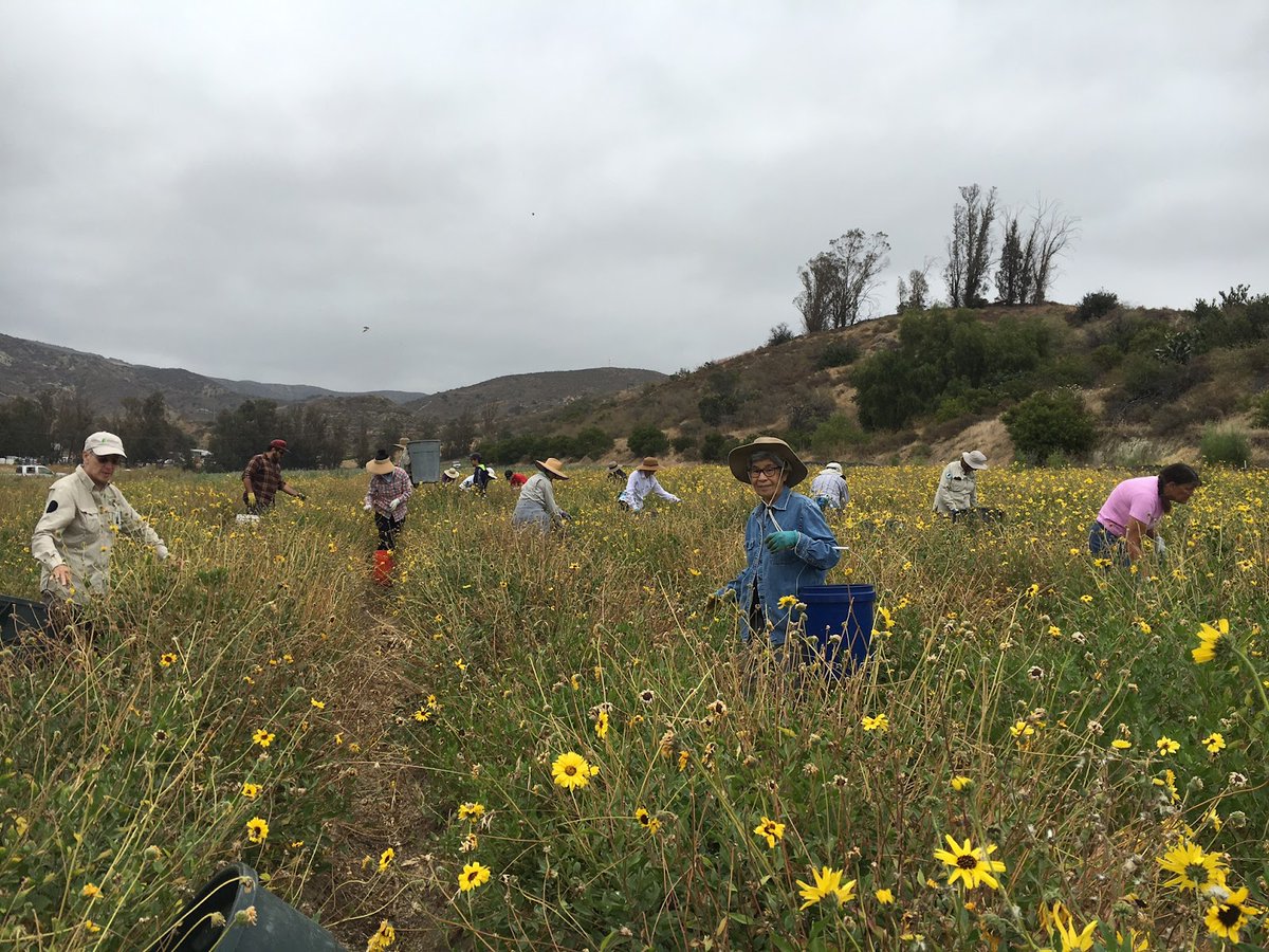 🌟 Lead Volunteers: Lead nature tours, ranging from easy strolls to mountain peaks. 🚶‍♀️ Volunteer Trail Guides: Assist in public programs and represent us at events. 🛠️ Trail Crew Volunteers: Maintain trails and habitats. Learn more at bit.ly/3IvDpa4!