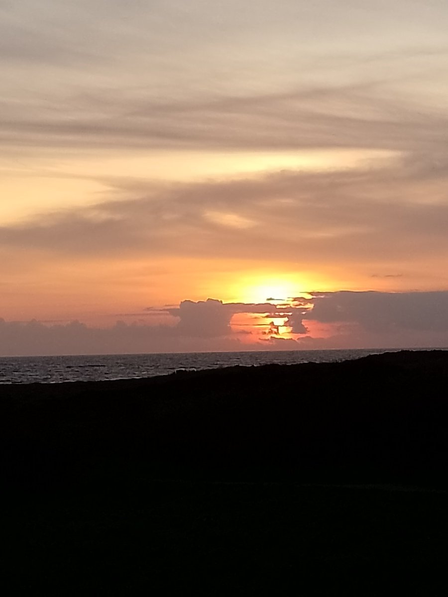 #Apresj20

Et voilà 4 ans de vie en parenthèse depuis ce maudit virus 🌷🌷🌷ce 13 mars.
Une santé amoindrie et plus de travail.
Comment vont les 1 ers touches de 2020 ? Vos symptômes les plus marquants ?