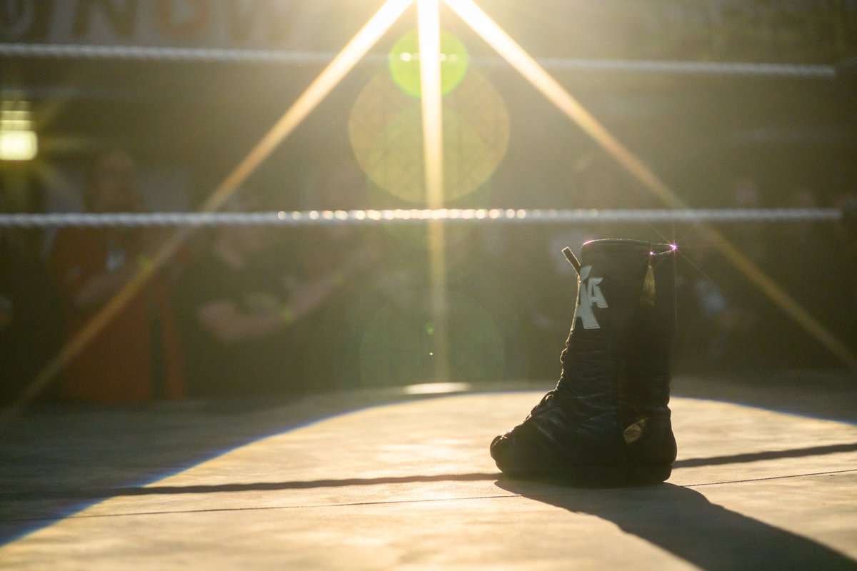 wXw Germany tweet media