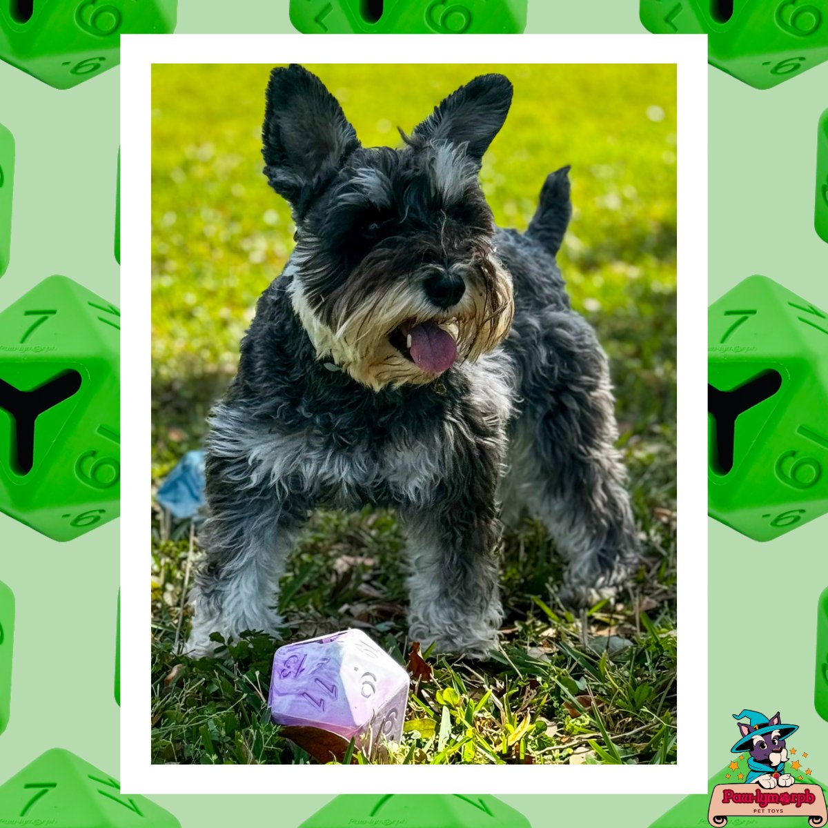 Keep those ears up! We've got some exciting announcements coming next week!