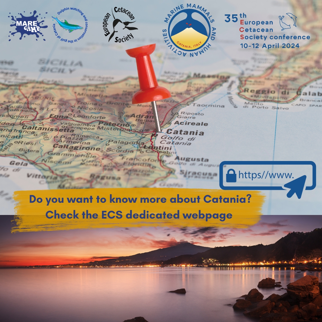 European Cetacean Society (@eurocetsoc) on Twitter photo Curious about Catania? Nestled in the heart of the Mediterranean, this enchanting Sicilian city offers a wealth of natural, architectural, gastronomic and cultural treasures. Find more on our website's page: europeancetaceansociety.eu/enjoy-catania
We can't wait to welcome you! 🌟
<a href="/Marecamp_CT/">Marecamp association</a> Curious about Catania? Nestled in the heart of the Mediterranean, this enchanting Sicilian city offers a wealth of natural, architectural, gastronomic and cultural treasures. Find more on our website's page: europeancetaceansociety.eu/enjoy-catania
We can't wait to welcome you! 🌟
<a href="/Marecamp_CT/">Marecamp association</a>