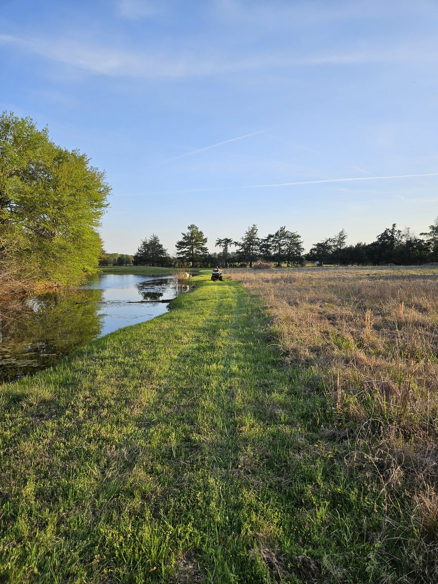 Sandy Neilsen tweet media