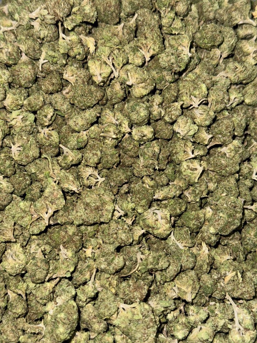 lotusunko's tweet photo. Strain : Lava Cake🍪🍪
🔸 Pop in door สวยๆ
🔸 THC 28%เมาแน่นอน😵‍💫
🔸 ดอกแน่นๆแข็งๆ👇🏻👇🏻
https://t.co/x4fLfjmr7Z
#กัญชารังสิต #กัญชาเชียงใหม่ #กัญชาภูเก็ต #รั���งาน #ภูเก็ต #ยะลา #นราธิวาส #ปัตตานี #ชุมพร #พังงา #สายเขียว #กัญชากทม #กัญชาog #กัญชาออแกนิค 
#กัญชากรุงเทพ #กัญชานอก https://t.co/OPyPAbU6N2