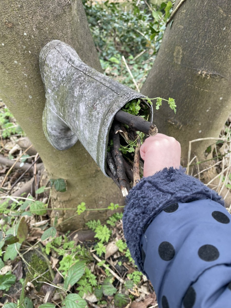 #teamggeyfs today we went down to #forestschool . We filled our bug boots up, so all the little creatures had a home. @BfdForestSchls @ForestSchools #minibeasts #outdoorlearning #eyfs