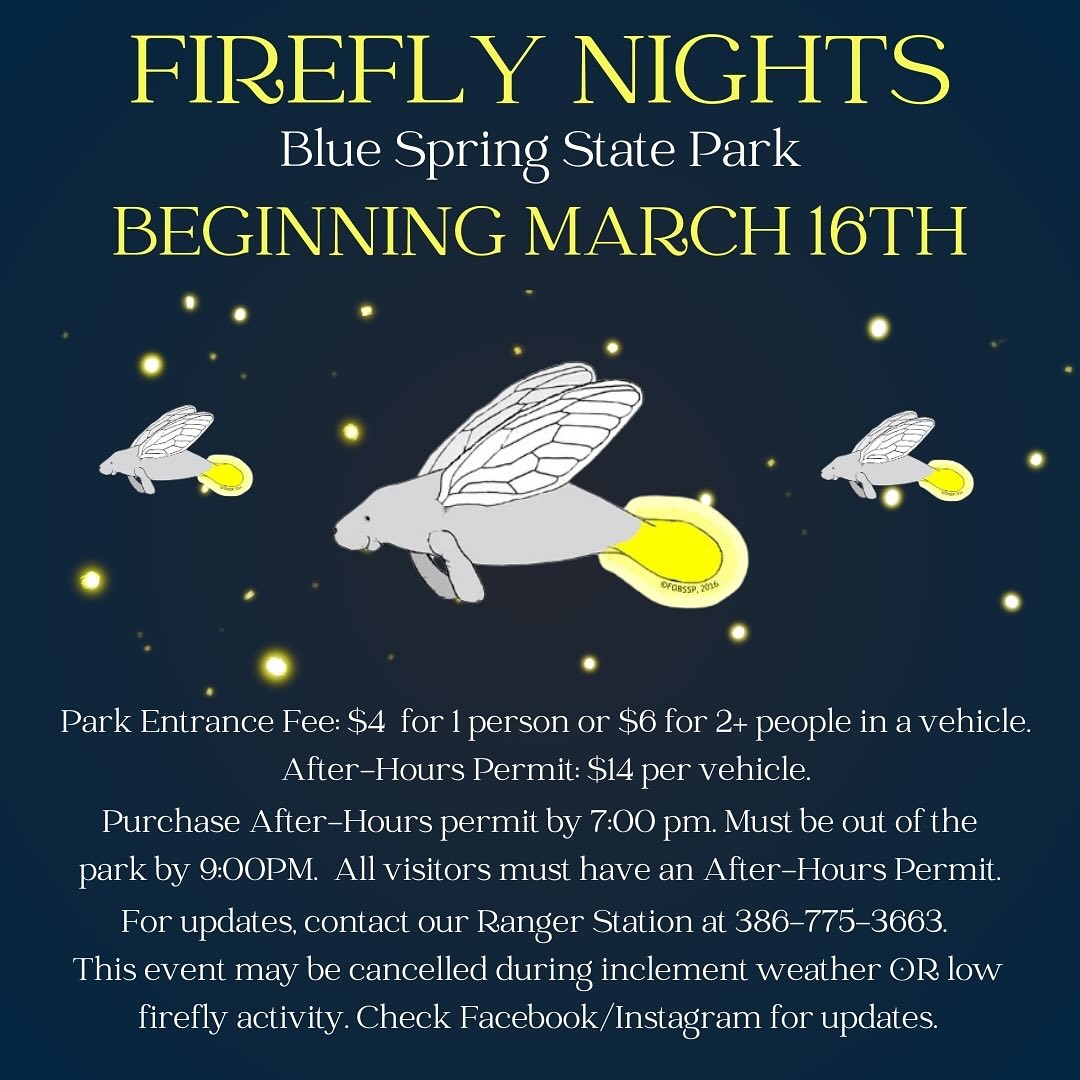 We patiently wait for this time every year to experience the natural glow of fireflies in nature at Blue Spring State Park! Get all the details at friendsofbluespringstatepark.org

#visitwestvolusia #flstateparks