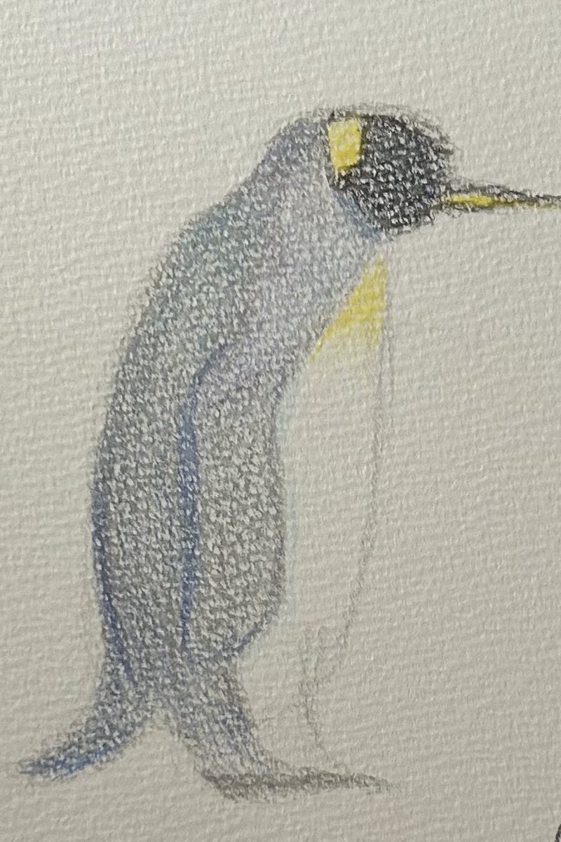 Penguin.