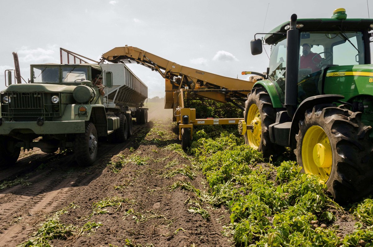 BNFIX_SPAIN's tweet photo. 🚜¿Qué obligaciones tienen las #cooperativas agrarias en materia de informes de #sostenibilidad o #EINF?
📋Una resolución del #ICAC aborda esta cuestión, que recogemos en nuestra página web
➡️https://t.co/iOtjnZ8d29 https://t.co/sUnNYw2iWB