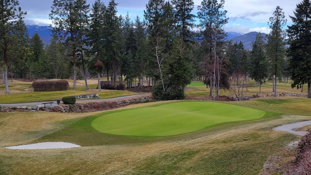 bcgolfsuper's tweet photo. The #PureDistinction is vibing https://t.co/KEucK0VYC3