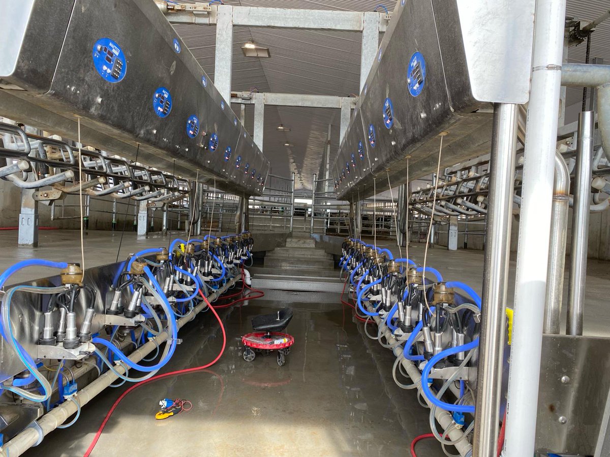 DortmansB's tweet photo. It was start up day at this organic dairy farm.🌞The installation crew did a fantastic job assembling this double 10, lift front, @BouMatic parlour.🐮
#dortmansbros #BouMatic #dairyparlour #dairyfarming #ontag https://t.co/nRq8J2mECS