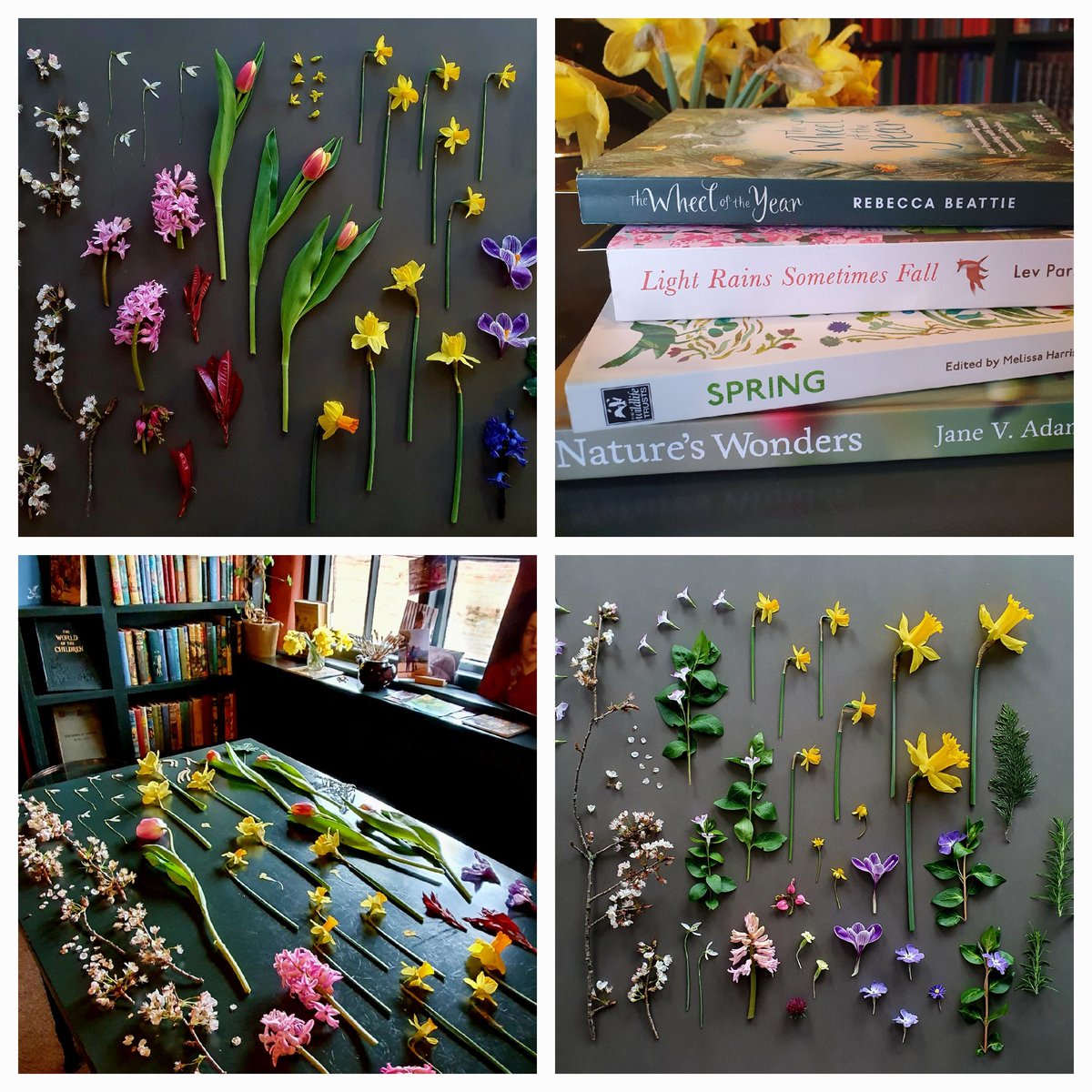 A lovely Spring Surprises nature writing workshop today at @BooksAlbans - inspiration from authors including @LevParikian @M_Z_Harrison @robbiecowen @rebecca_beattie & @WildlifeStuff 💚