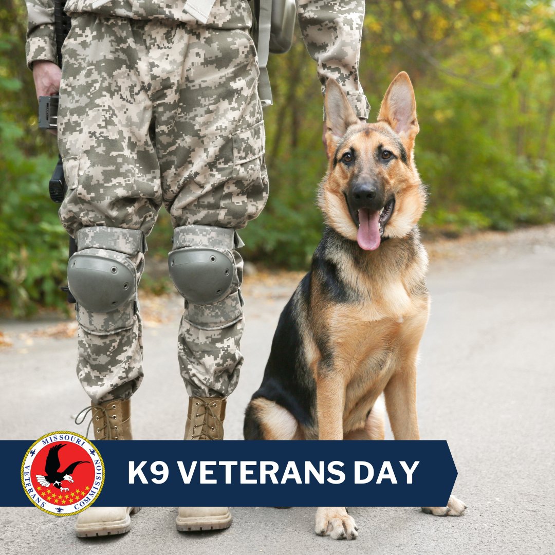 Happy K-9 Veterans Day to some extraordinary animals. The U.S. Military K9 program started in 1942 when Dogs for Defense was founded to train dogs to be sentries for supply depots. Today, we honor and commemorate the service of the American military  dogs.