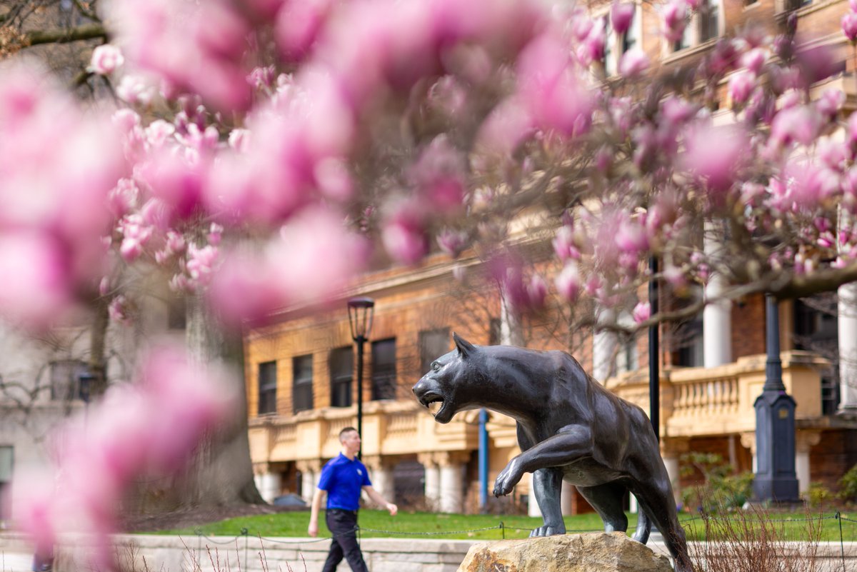 PittTweet tweet picture