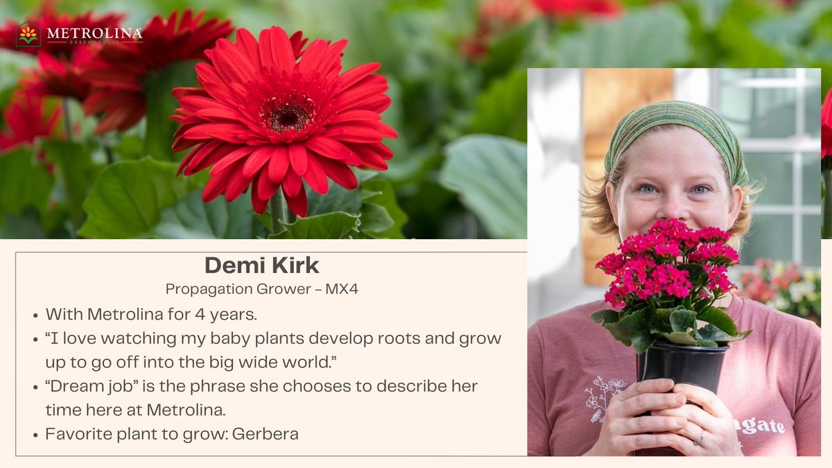 MetrolinaGHS's tweet image. #EmployeeSpotlight: Demi Kirk, MX4 Propagation Grower, loves learning how to #propagate new plants and   establishing standards for propagation with her team. The #pride of her work is for bio-stimulants and figuring out ways to improve overall crop quality during propagation!