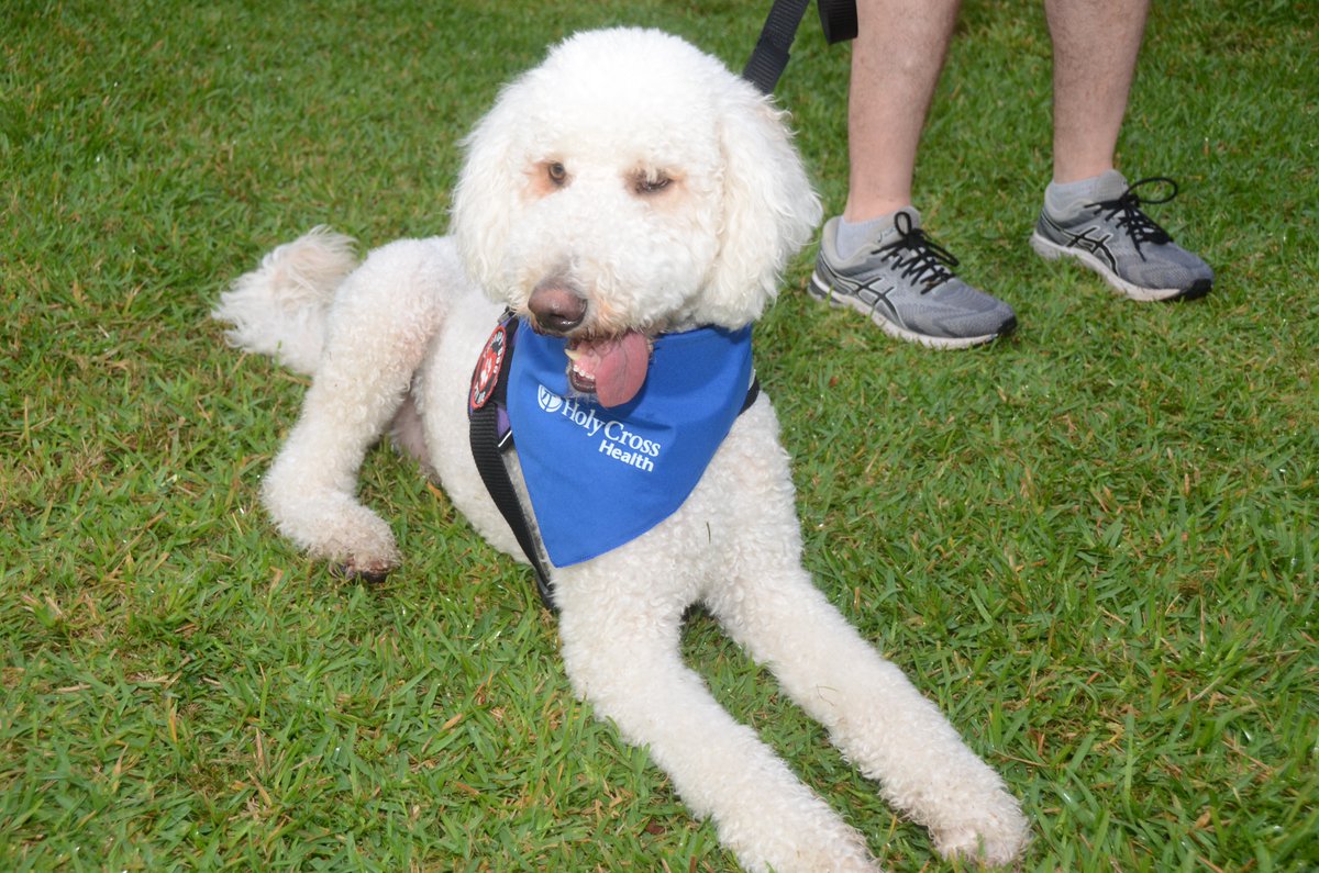 Gratitude to all who joined us at the 2024 Broward Heart Walk, organized by the American Heart Association - Florida!

Together, we're not just taking steps, but strides toward a heart-healthy community. ❤️

#HolyCrossHealth #HeartHealth #Cardiology #Cardiac #BrowardHeartWalk