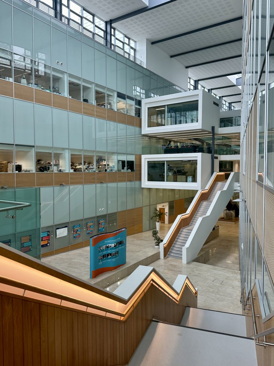 Camila Clemente tweet media