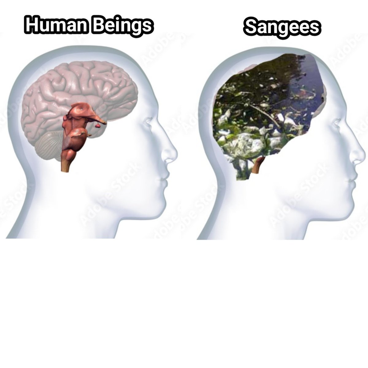 Samkumar0's tweet image. உடன் பிறப்புக்களே!🖤♥️ 

ஜோம்பிஸ்/ சங்கிகள் கேள்விகளுக்கு பதில் கூற திராணி இல்லாமல், எனது 3 ஐடியை முடக்கி விட்டார்கள். என் டிவிட்டர் நண்பர்களை இழந்துவிட்டேன்.

இன் புது ஐடி (@samkumar0)

அனைவரும் ஃபாலோ செய்யவும், நானும் ஃபாலோ பேக் செய்கிறேன்

நன்றி!🔄🔄🔄