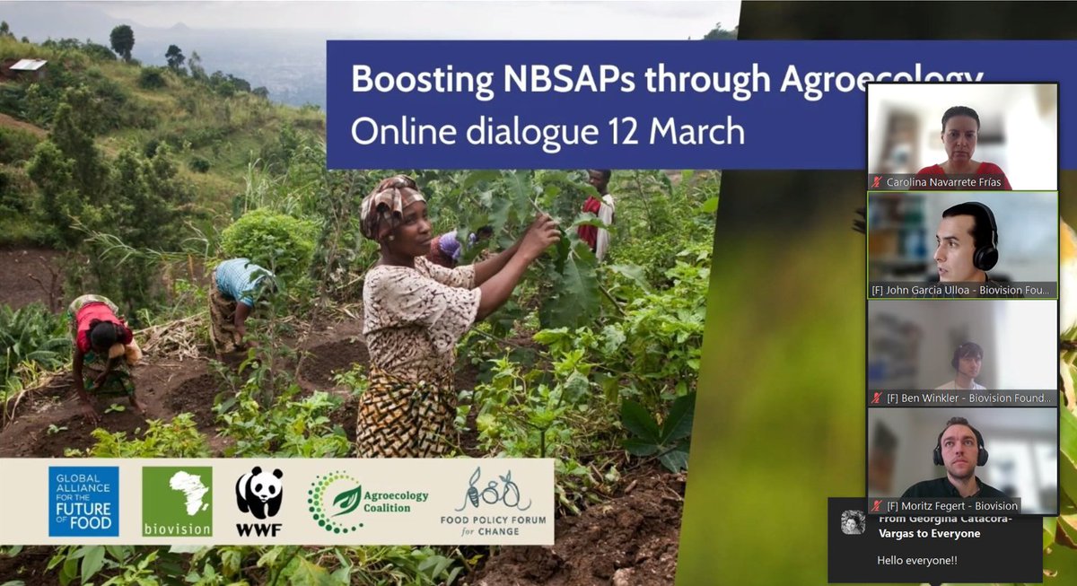Alliance scientists Carolina Navarrete and Sarah Jones participated in an event on integrating #foodsystems and #agroecology into countries' National Biodiversity Strategy and Action Plans (NBSAPs), which guide national contributions to the UNCBD Global Biodiversity Framework.