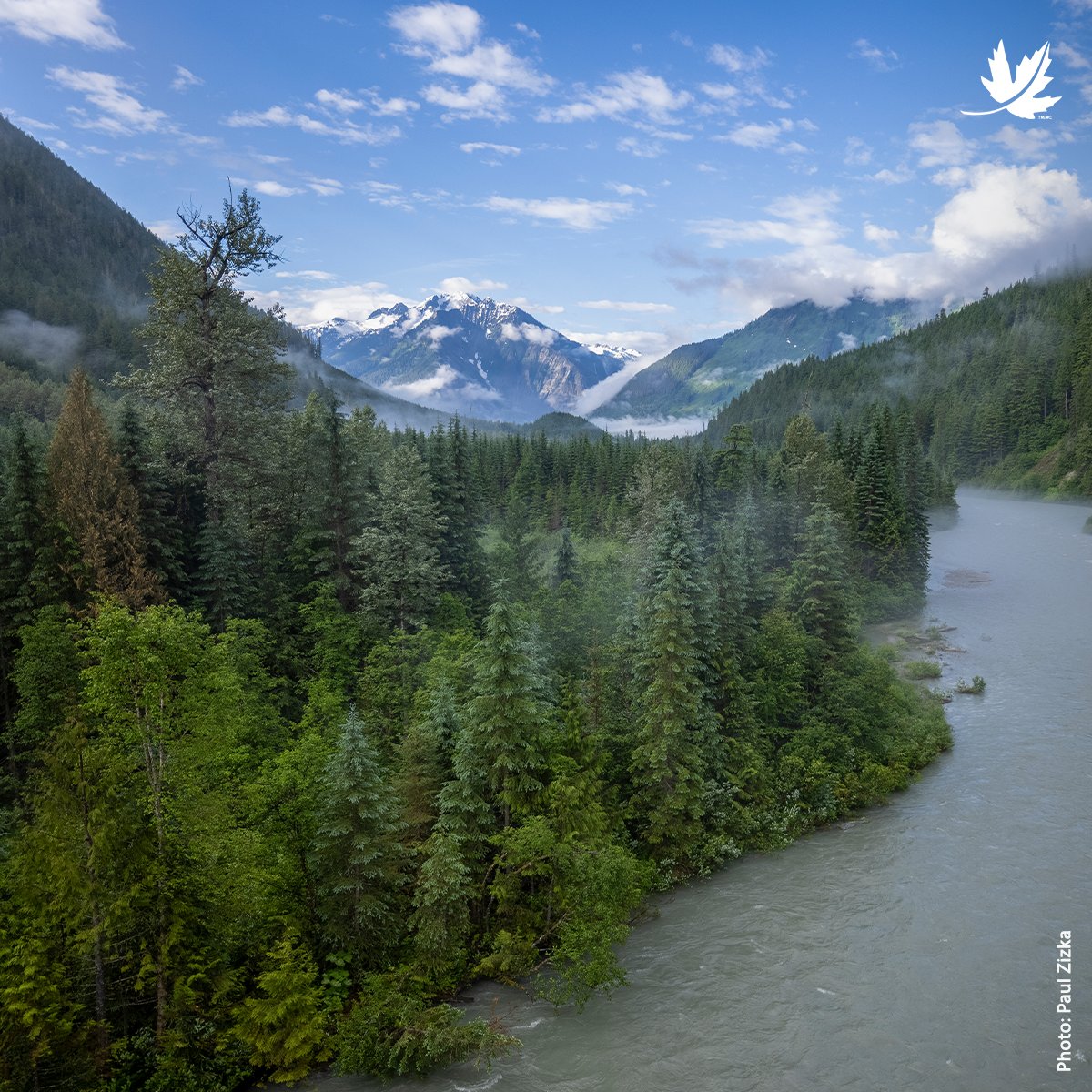 NCC_CNC's tweet photo. In 2023, thanks to YOU, we made strides in protecting wildlife habitat and tackling biodiversity loss &amp; climate change. Explore your impact in our annual report for a glimpse into a thriving world with nature: https://t.co/oxutIUaTZp https://t.co/3j29yAHiGF