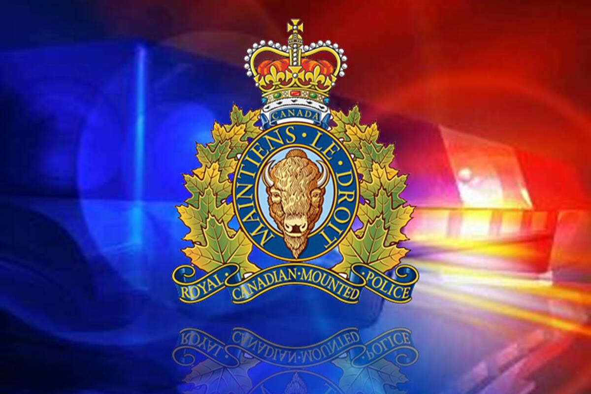 CrestonAdvance's tweet photo. Two people die in single-vehicle crash near Vallican https://t.co/lARbdHdgfO https://t.co/3CaKduqrN5