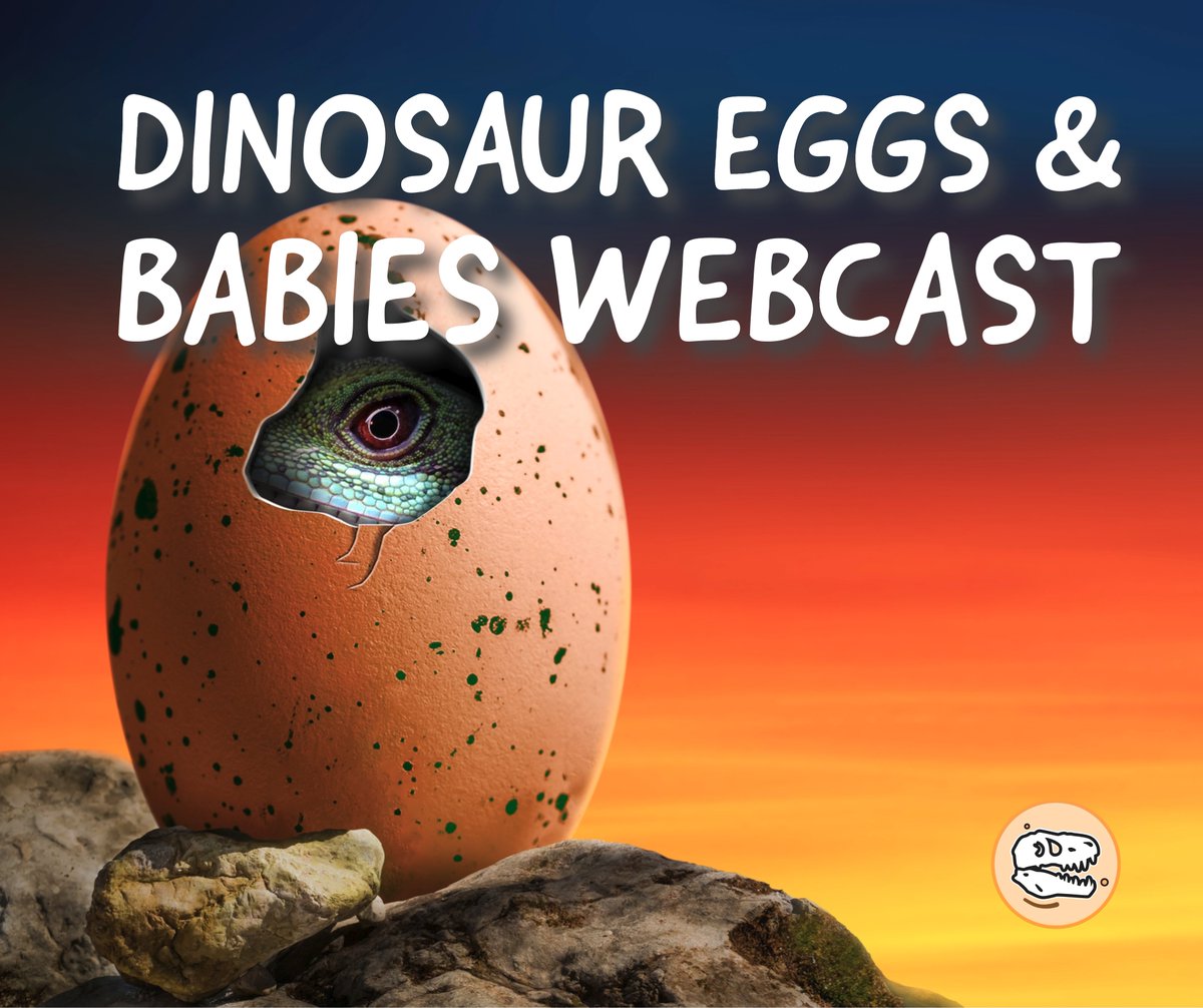 Did you know that a Tyrannosaurus rex egg has NEVER been found?

Or that some dinosaurs laid their eggs one per day over a period of weeks?

We learned these fun facts and more during our latest program from the <a href="/RoyalTyrrell/">Royal Tyrrell Museum of Palaeontology</a> Museum today! 

#learningathome #paleontology
