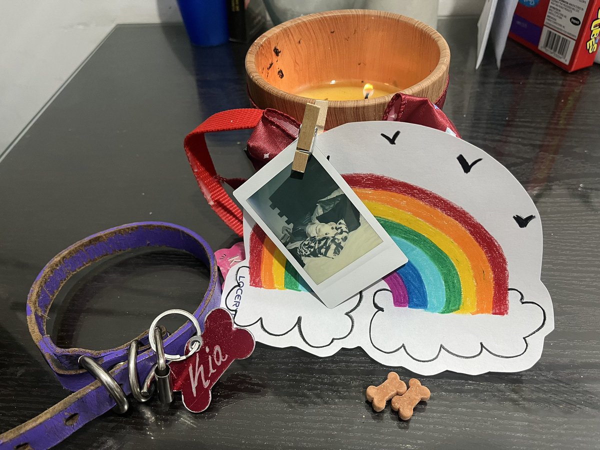 Y te fuiste, mi amor. Te llevaste un pedazo de mi alma por qué yo te lo entregué. Nos vemos al final del arcoiris.