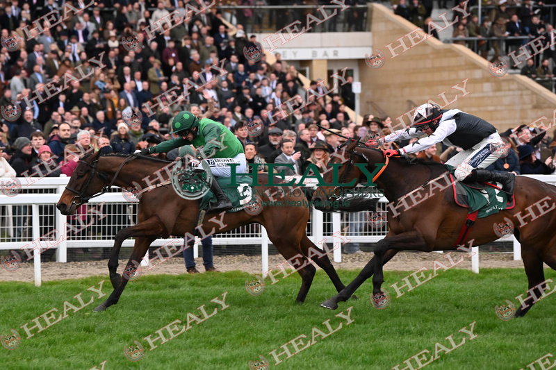 See all the action from day 2 of the CHELTENHAM FESTIVAL in the Gallery at healyracing.ie