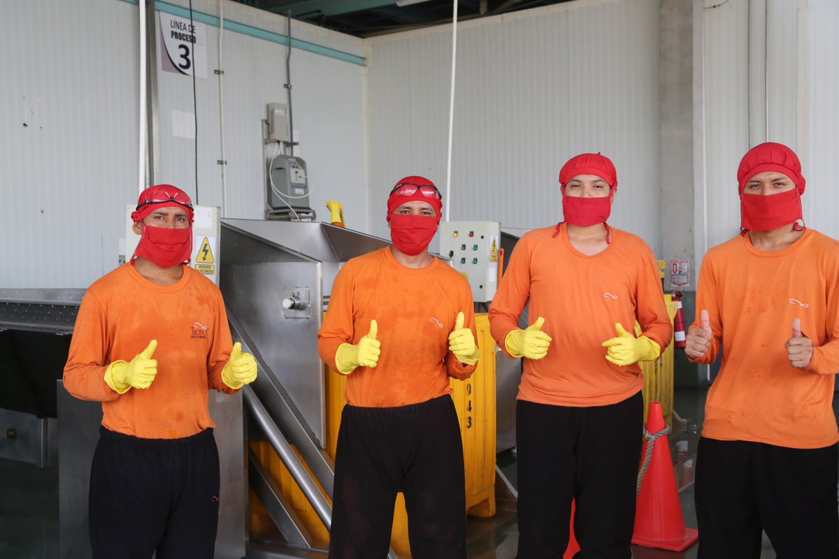 Presidencia_Ec's tweet image. Con el objetivo de verificar los beneficios de la Ley Orgánica de Eficiencia Económica y Generación de Empleo, en empresas del país, el presidente @DanielNoboaOK visitó la planta camaronera Santa Priscila donde han generado 1.100 empleos para jóvenes, luego de la aplicación de la…